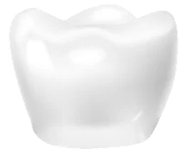 Crown Tooth Part
